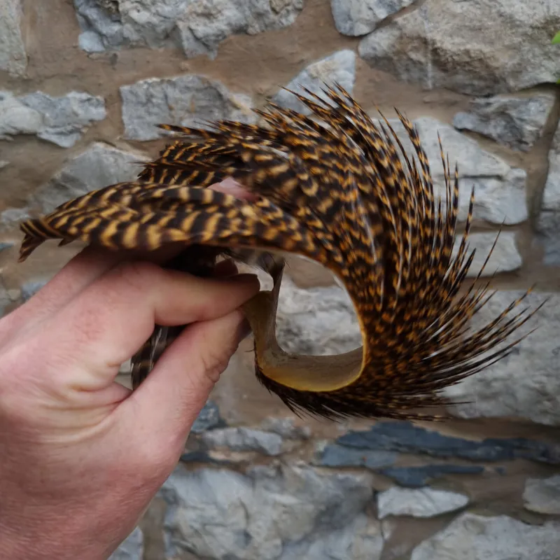 Whiting Exclusive Grizzly Hen Cape in Ginger-11